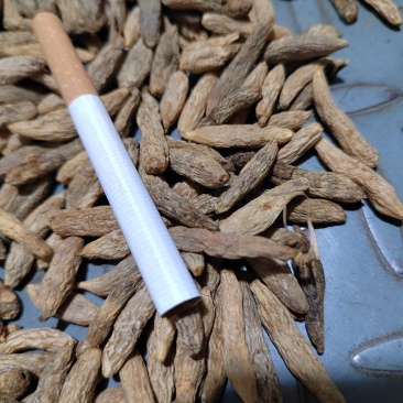 麦冬大粒，陈货麦冬，黑麦冬，麦冬货源充足价格便宜欢迎联系