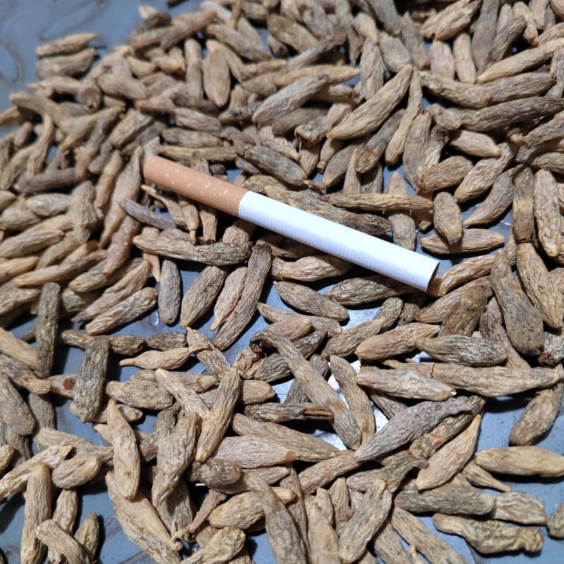 麦冬大粒，陈货麦冬，黑麦冬，麦冬货源充足价格便宜欢迎联系
