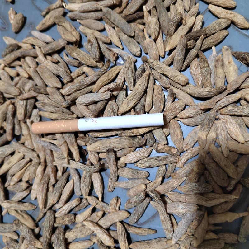 麦冬大粒，陈货麦冬，黑麦冬，麦冬货源充足价格便宜欢迎联系