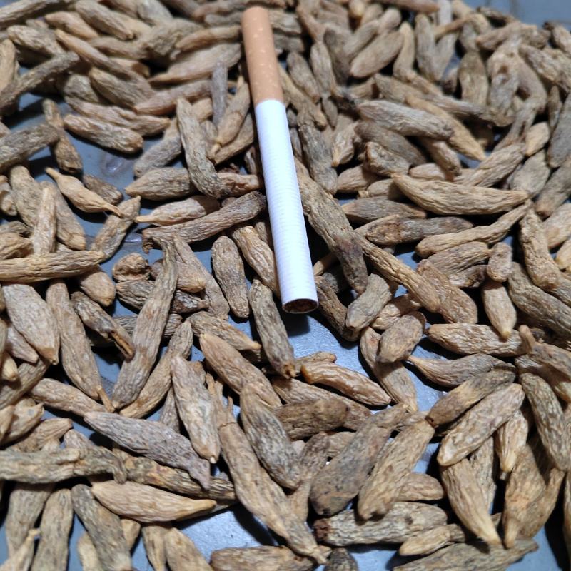 麦冬大粒，陈货麦冬，黑麦冬，麦冬货源充足价格便宜欢迎联系
