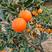 资中塔罗料血橙，产地一手货规格齐全，质量保证，货源充足
