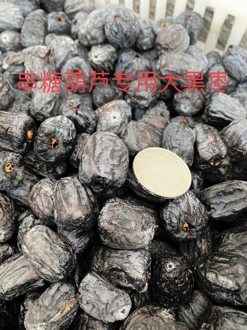河北涉县无核黑枣串糖葫芦西坡大黑枣小黑枣产地供应