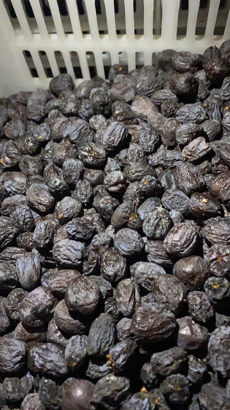 河北涉县无核黑枣串糖葫芦西坡大黑枣小黑枣产地供应