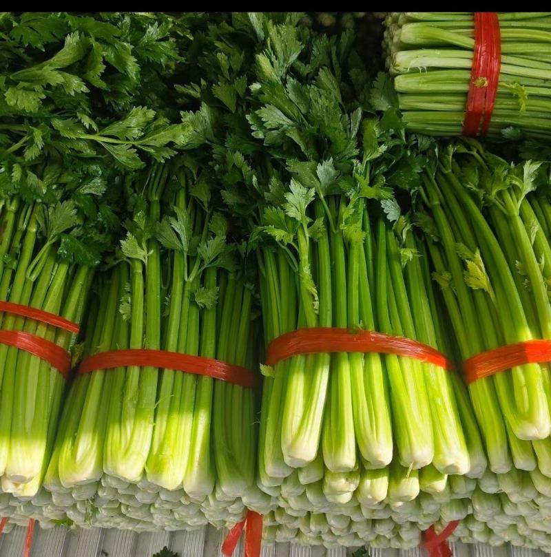 芹菜精品芹菜产地直发一手货源代发全国保质保量