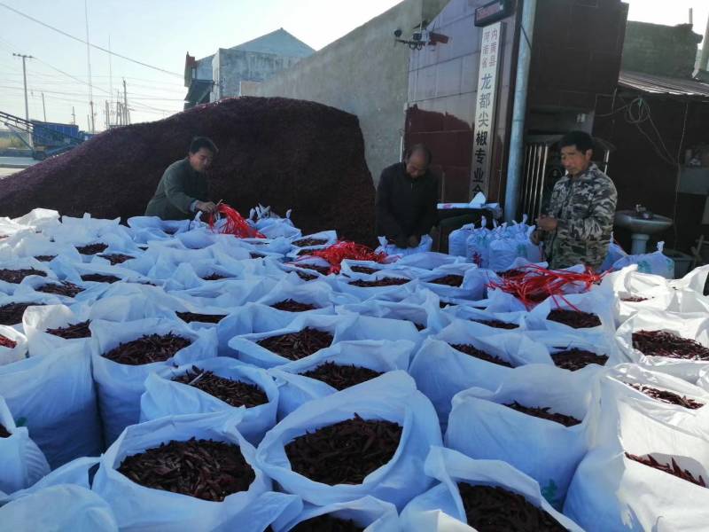 内黄县新一代干辣椒重庆火锅底料川菜等必备品包邮