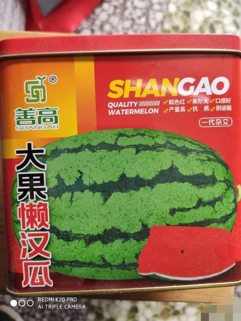 善高大果懒汉西瓜种子，50克