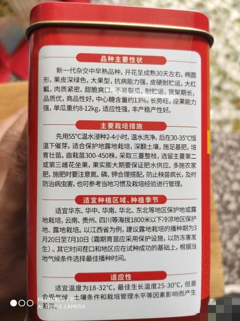 善高大果懒汉西瓜种子，50克