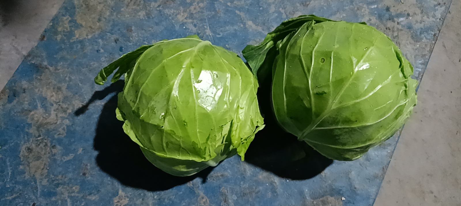 甘蓝蒸菜卷示意图