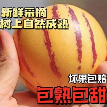 包邮【好吃】云南石林人参果圆果新鲜孕妇应季黄肉低糖整箱