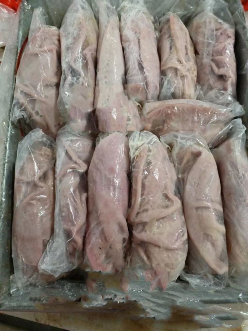 猪肚，肥猪猪肚，母猪猪肚，新货，品质非常好