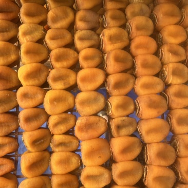 广西柿子饼超级甜