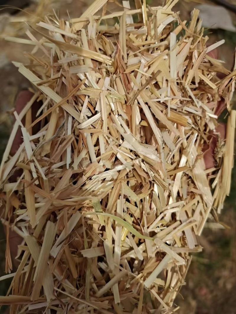 小麦草批发麦草秸秆，优质无土无膜的优质小麦草，需要的联系