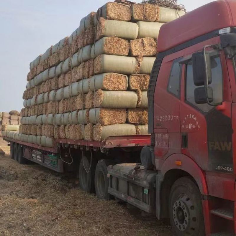 小麦草批发麦草秸秆，优质无土无膜的优质小麦草，需要的联系