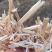 小麦草批发麦草秸秆，优质无土无膜的优质小麦草，需要的联系