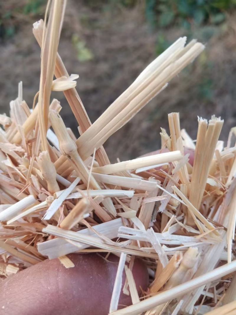 小麦草批发麦草秸秆，优质无土无膜的优质小麦草，需要的联系