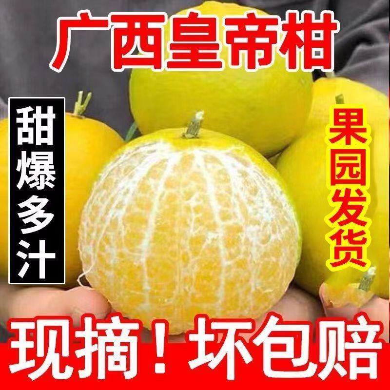 广西皇帝柑/一件代发/产地直供/坏果包赔/接电商微商直播