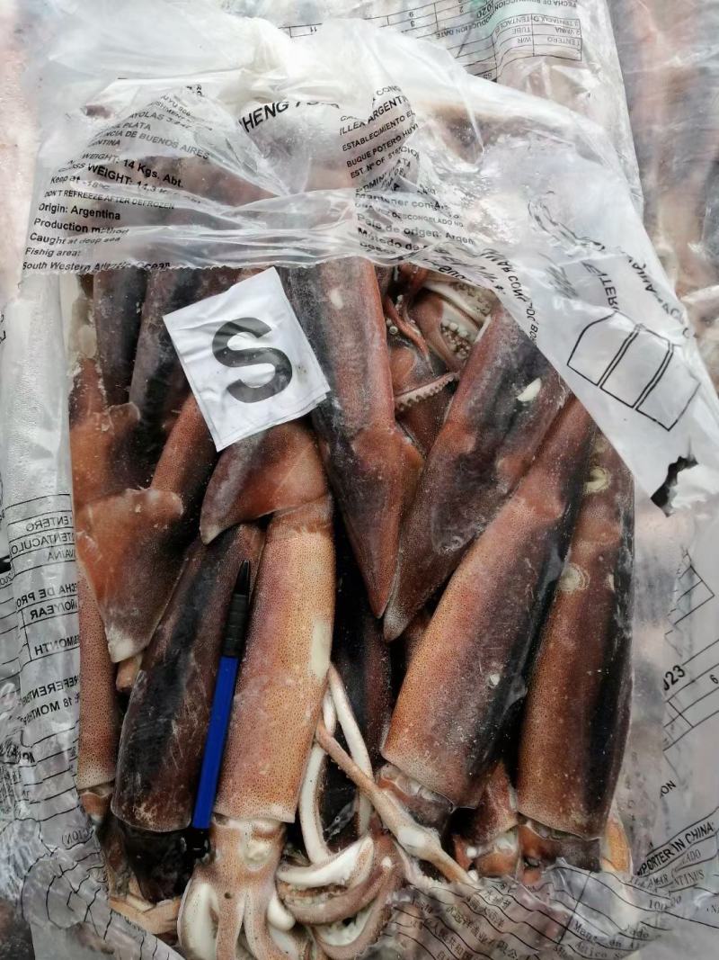 阿根廷鱿鱼，勾钓，全规格现货。
