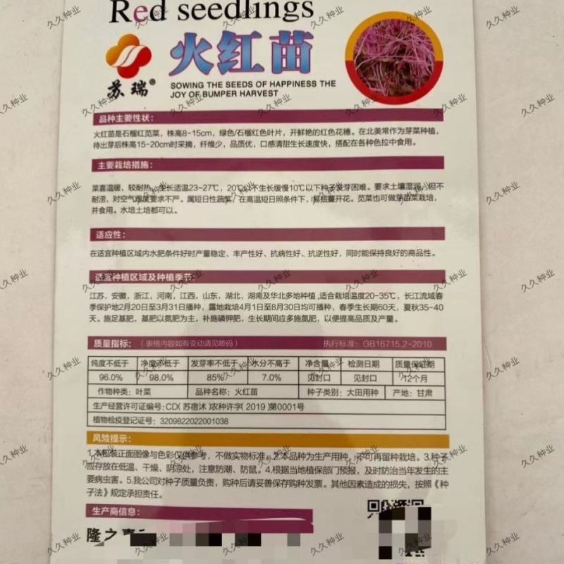 火红苗种子摆盘蔬菜四季蔬菜多次采收蔬菜芽苗种籽生长快