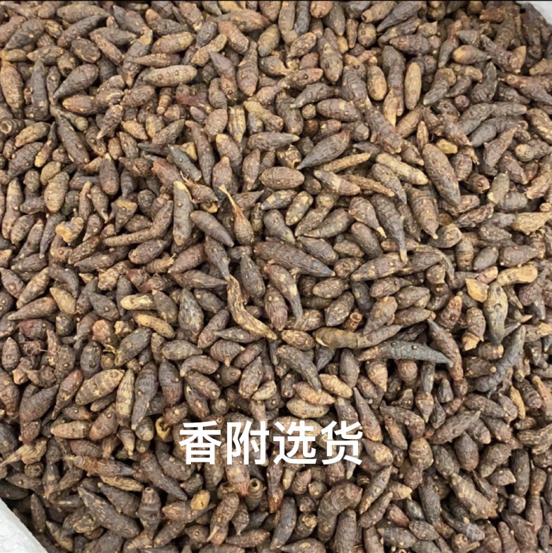 中药材香附香附片制香附规格齐全一公斤起批