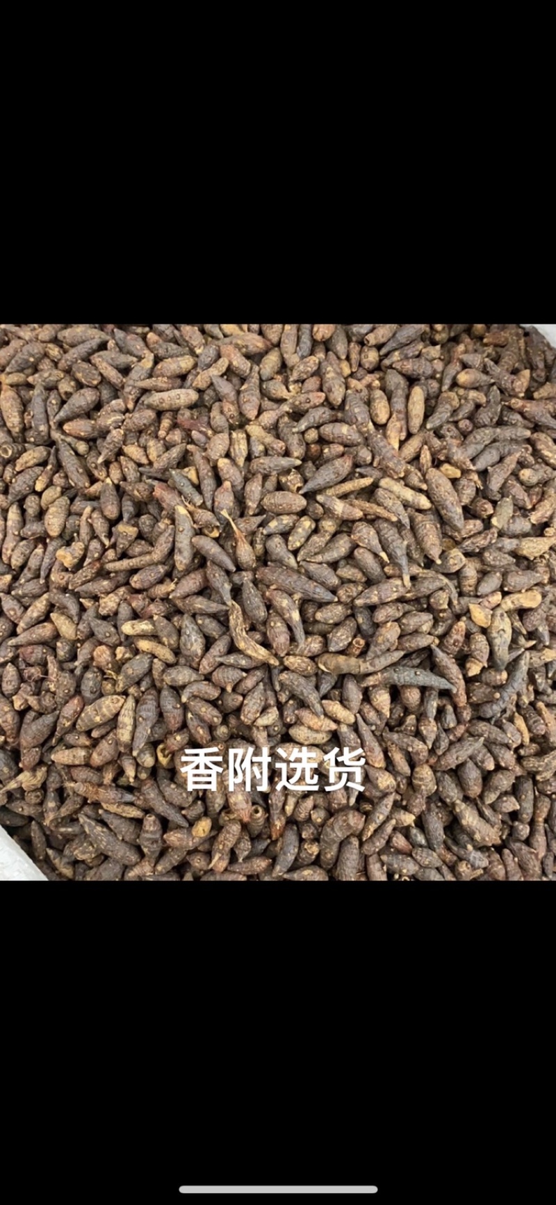 中药材香附香附片制香附规格齐全一公斤起批