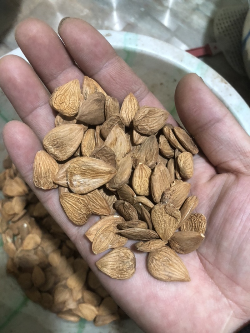 杏仁边角料，扁杏仁，次品杏仁，三级杏仁。