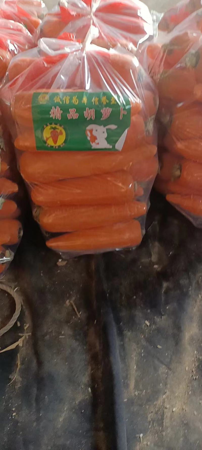精品胡萝卜，大量有货一手货源对接商超，保质保量，需要联系