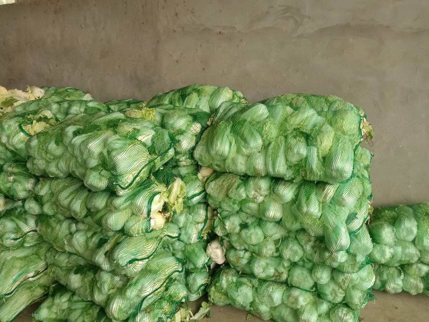 娃娃菜市场选购场景