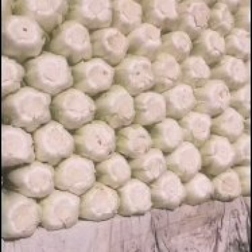 大白菜大量有货，有需要的联系我，价格低