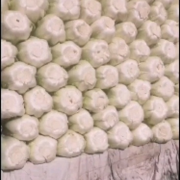 精品大白菜大量有货，有需要的联系我，价格合理，产地直供，