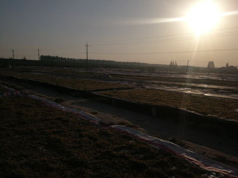 精品无砂梅干菜，可开专票