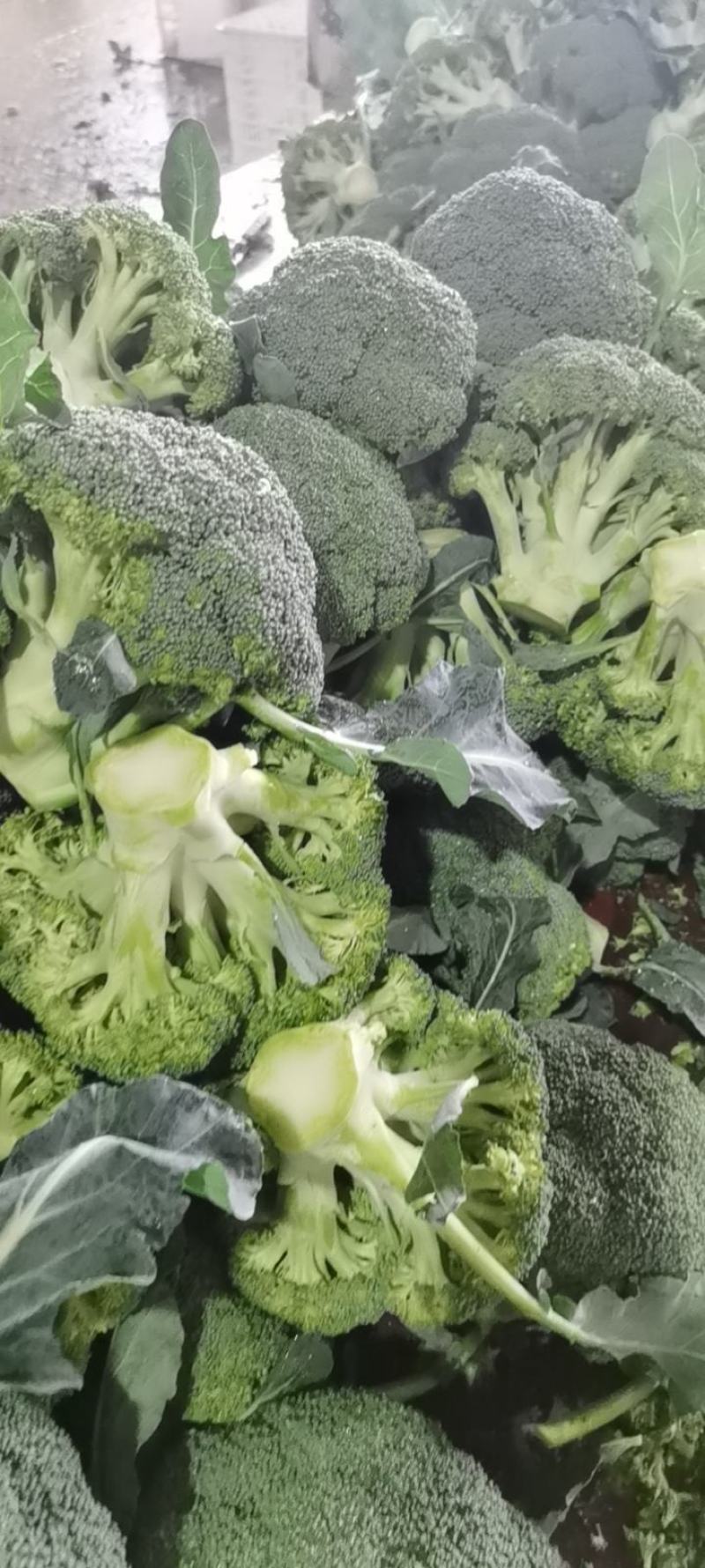 一级市场货、二级、加工厂货大量走货中，走车各种包装走车