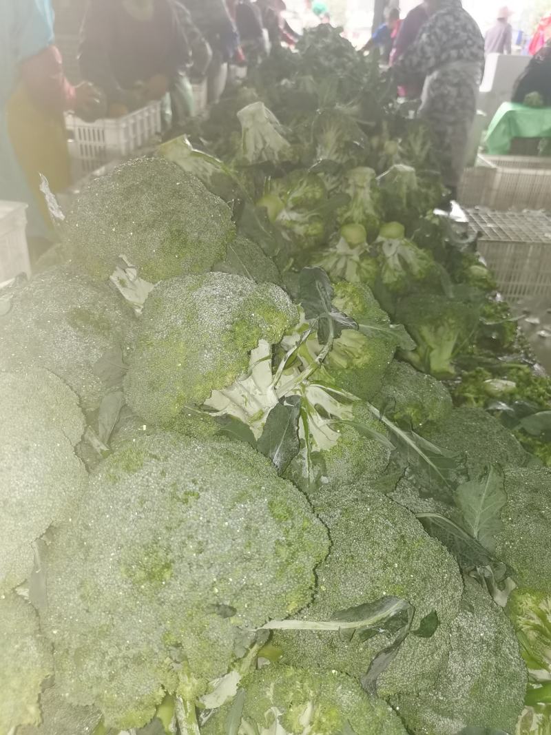 一级市场货、二级、加工厂货大量走货中，走车各种包装走车