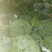 一级市场货、二级、加工厂货大量走货中，走车各种包装走车