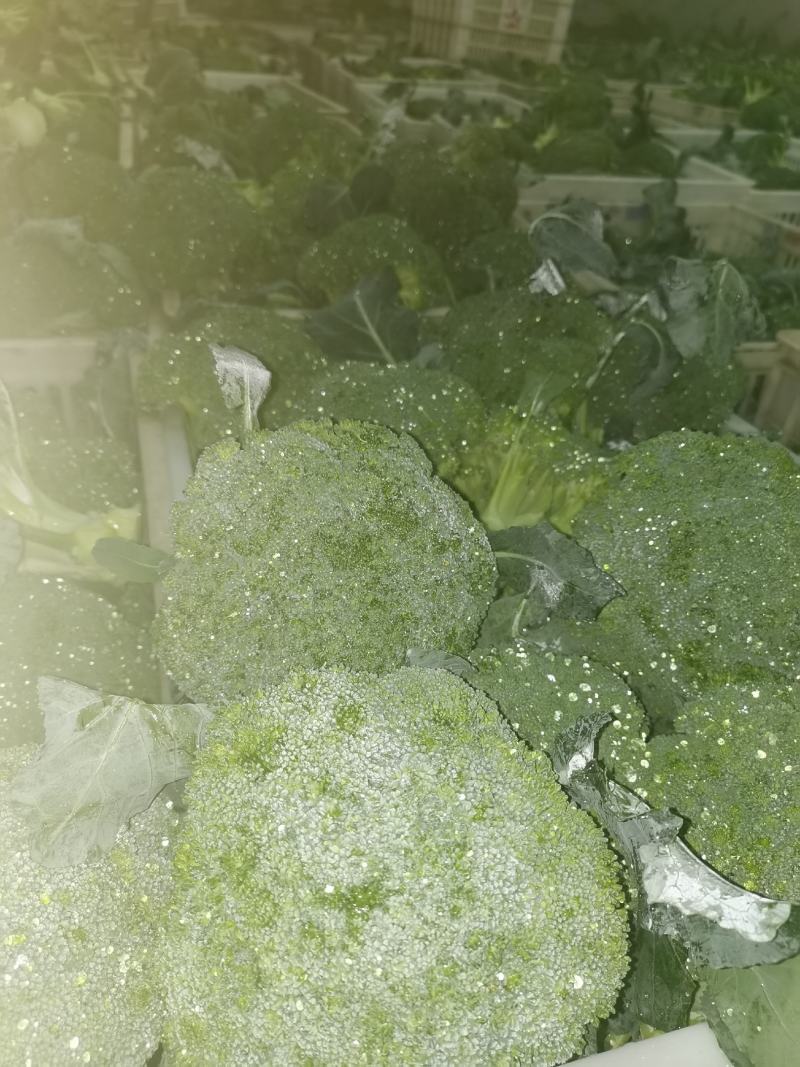 一级市场货、二级、加工厂货大量走货中，走车各种包装走车