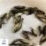 淡水石斑鱼苗好养鱼苗名贵鱼类批发零售好养耐低氧