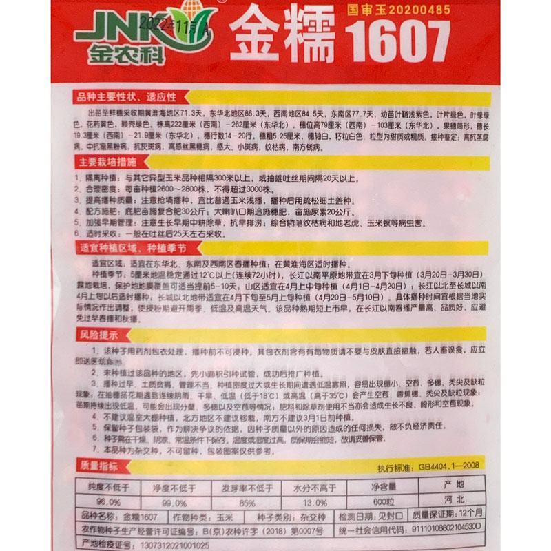 金农科金糯1607白糯玉米种子高产早熟大棒国审加甜糯玉米
