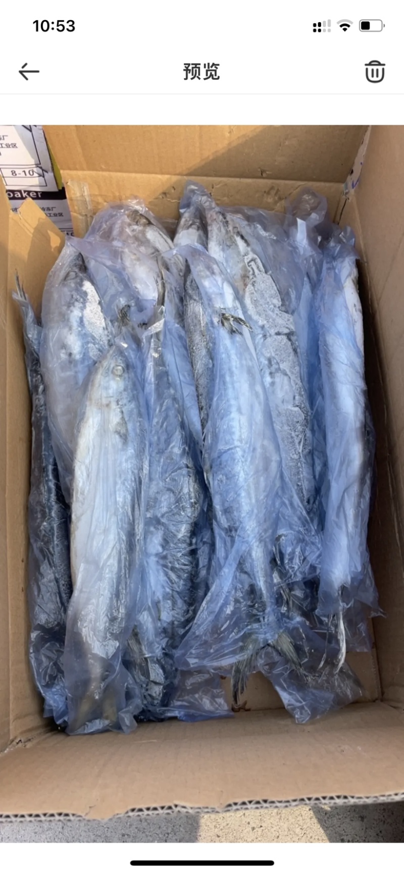 燕尾鲅马鲛鱼冰鲜船冻燕尾鲅鱼供应量大一件也是批发价