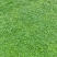 【推荐】精品马蹄金草坪免修剪草坪四私家花园高端小区别墅专用
