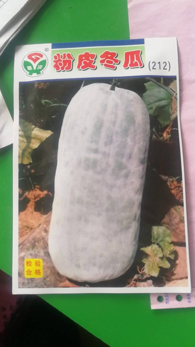 特大粉皮冬瓜种粉王巨型大冬瓜种子