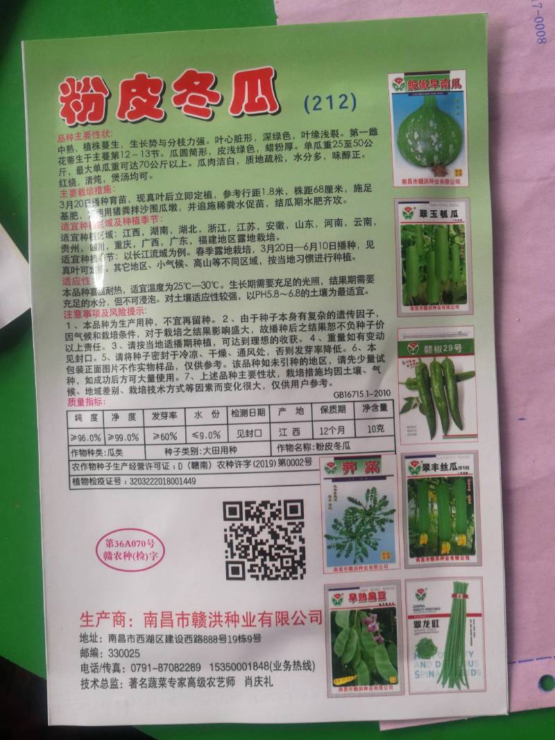特大粉皮冬瓜种粉王巨型大冬瓜种子