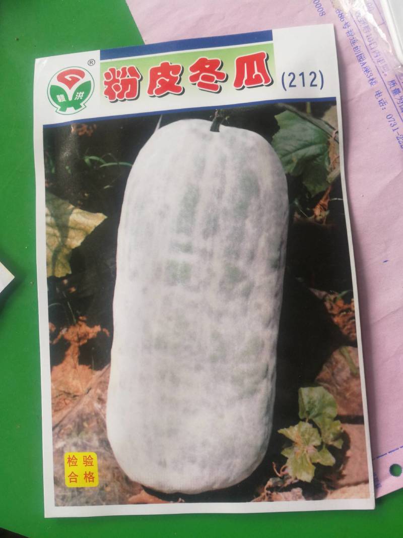 特大粉皮冬瓜种粉王巨型大冬瓜种子