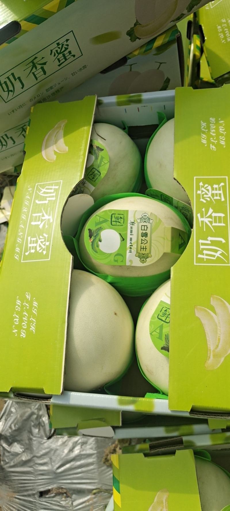 海南精品玉菇、超市，电商、团购、市场供应全国代发