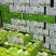 海南精品玉菇、超市，电商、团购、市场供应全国代发