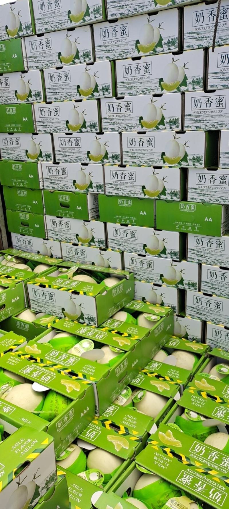 海南精品玉菇、超市，电商、团购、市场供应全国代发