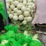 海南精品玉菇、超市，电商、团购、市场供应全国代发