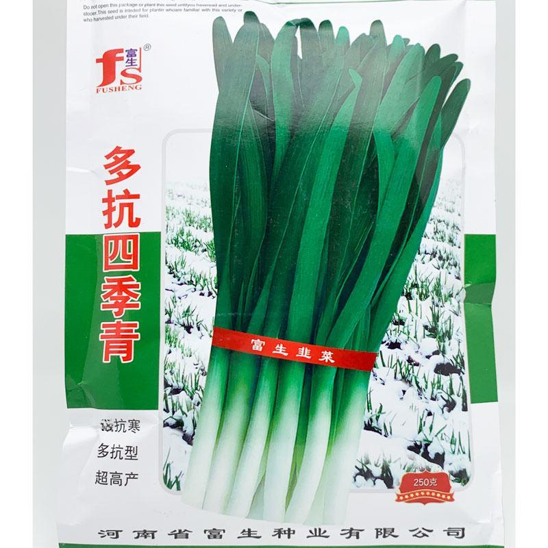 富生多抗四季青韭菜种子高产耐寒不休眠宽叶白根雪韭种原装
