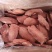 肉类冻品