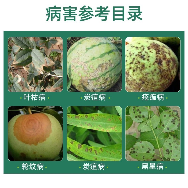 40%苯甲吡唑酯果树柑橘沙皮病树脂病炭疽病白粉病