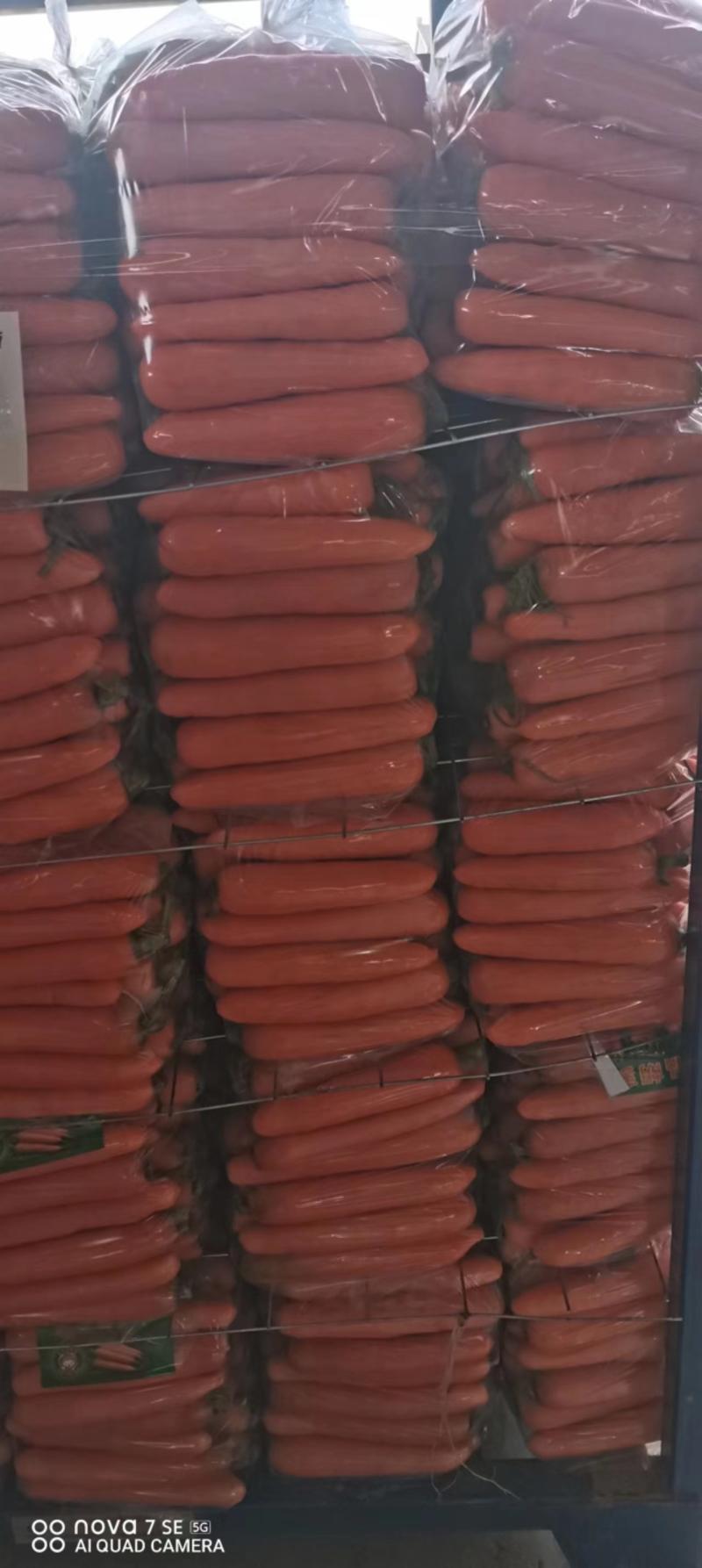三红胡萝卜水洗加工打包各种规格，一体化质量保证低价发市场