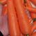三红胡萝卜水洗加工打包各种规格，一体化质量保证低价发市场